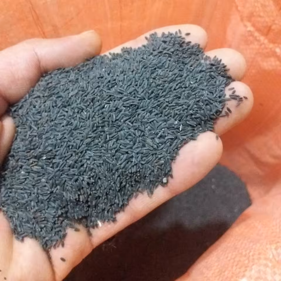 بالنگو اکبر بنفش