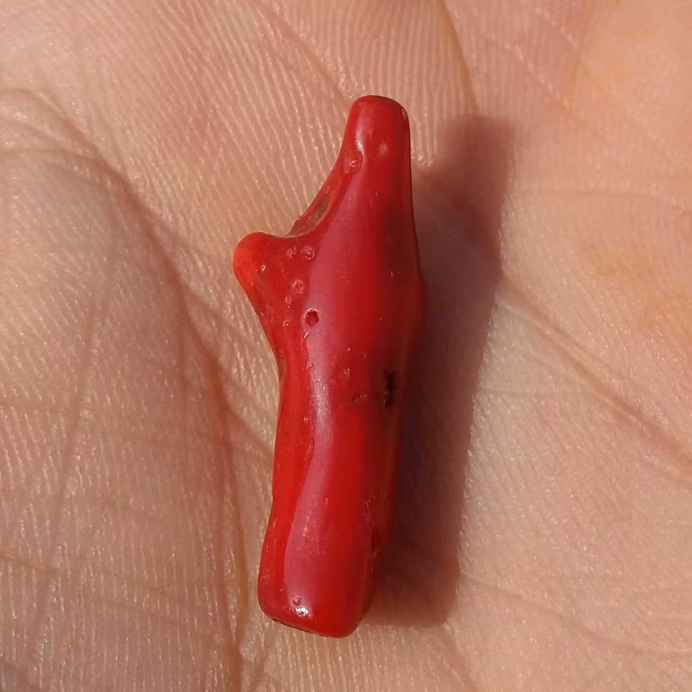 سنگ مرجان سرخ سوراخ دار مناسب آویز شاهکار خلقت بی نظیییر
کد 8713