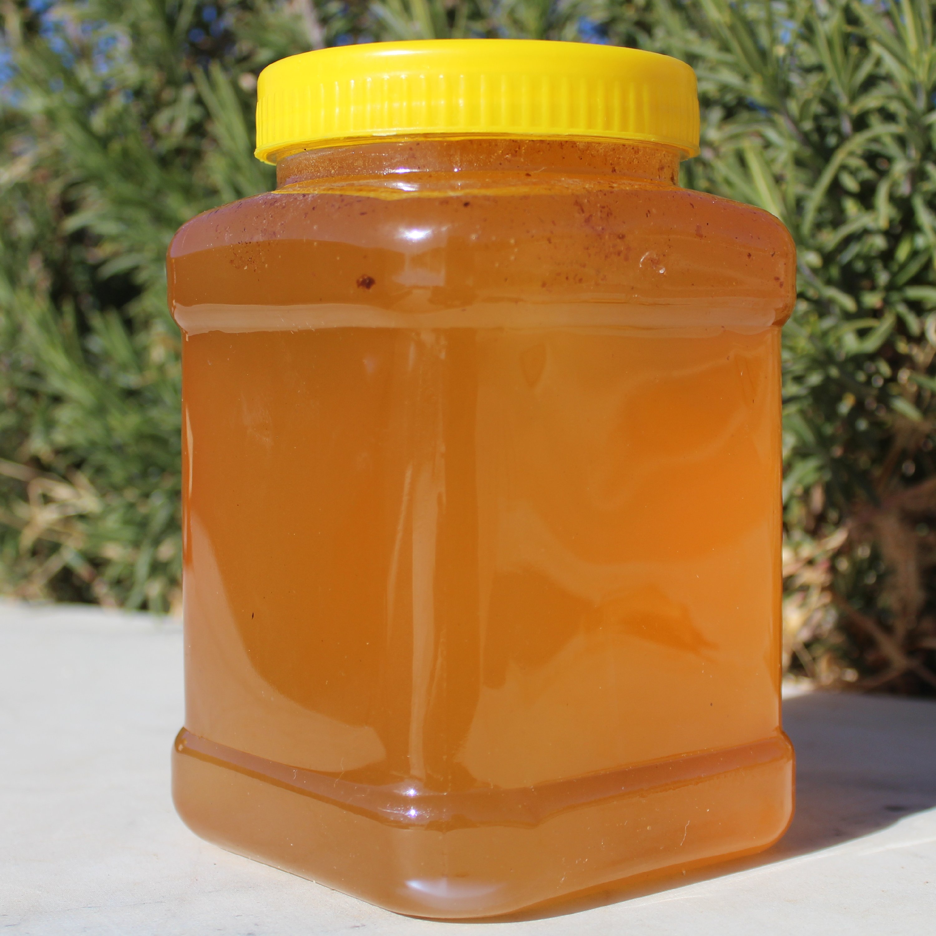 عسل بهاره گون کاملا طبیعی و با کیفیت 2 کیلویی شیلان
