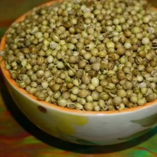 تخم گشنیز تازه و درجه یک(250 گرم)