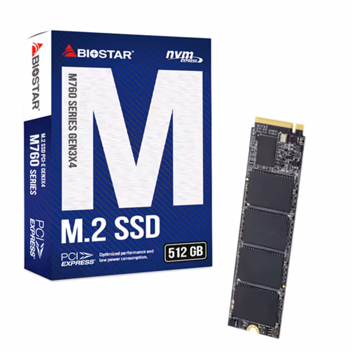 حافظه SSD بایوستار  M760 512GB