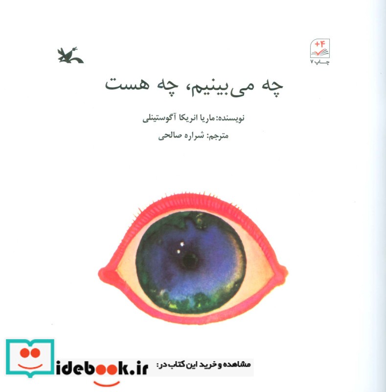 کتاب چه می بینم،چه هست