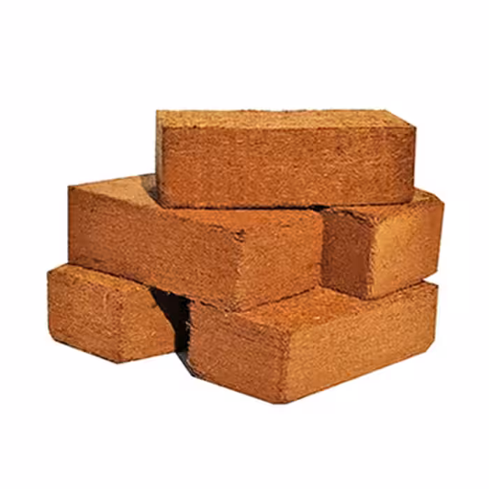 کوکوپیت قالبی کوچک سریلانکا