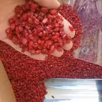 زرشک درجه یک