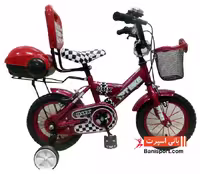 دوچرخه TPT bike 12156