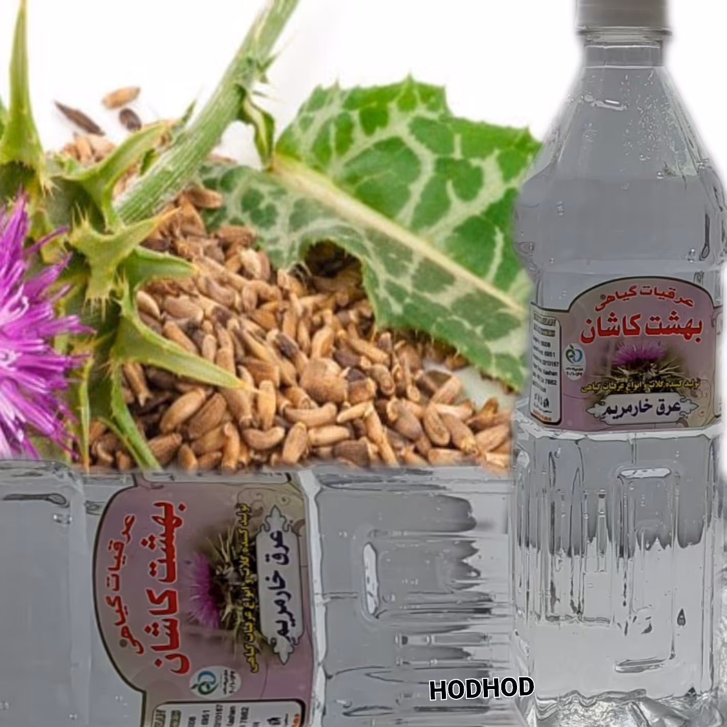 عرق خارمریم