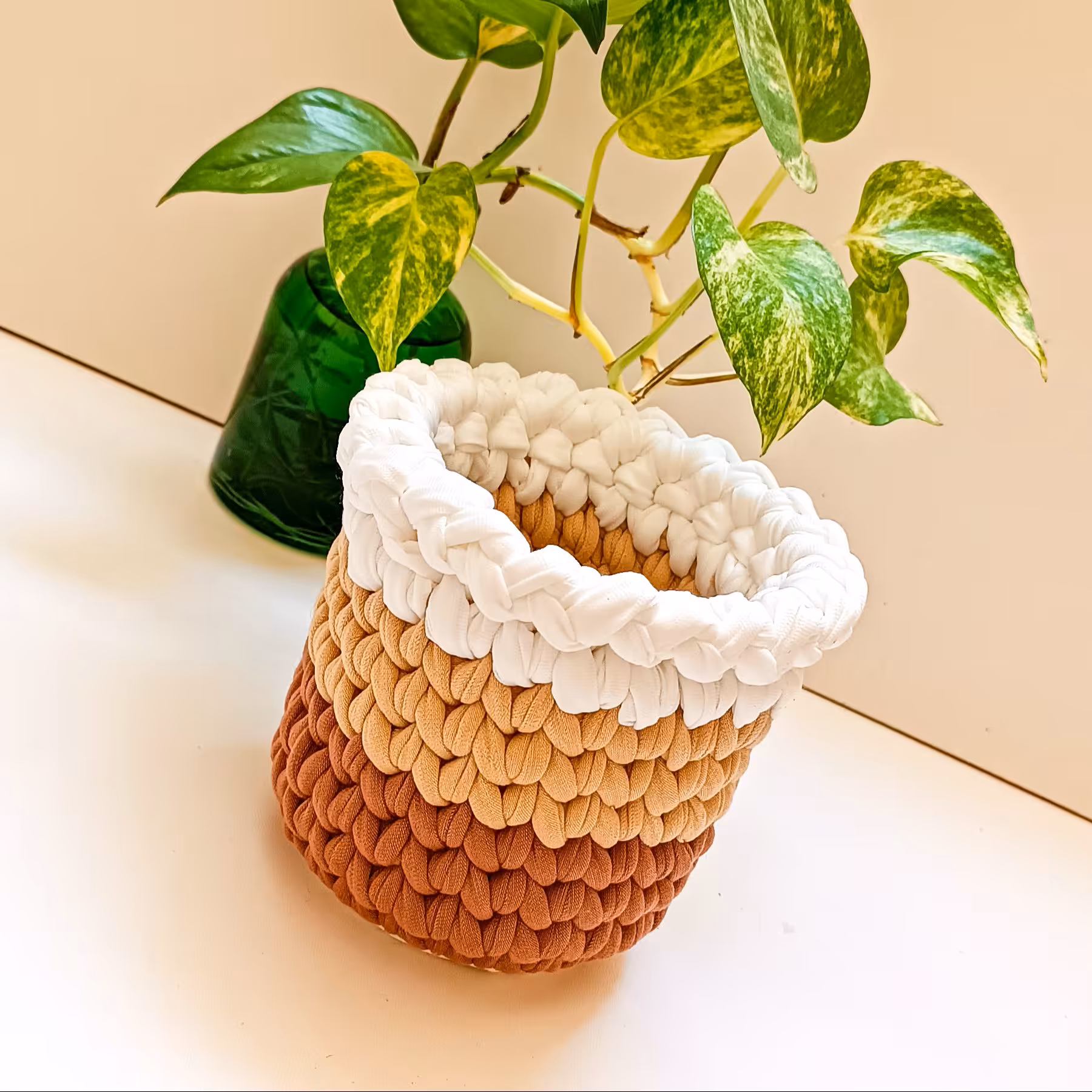 سبد جابرسی تریکویی