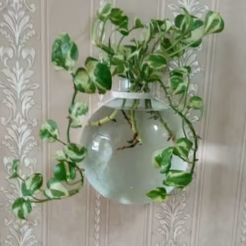 گلدان دیواری-گلدان زیبا-گل و گلدان-گلدان جذاب 