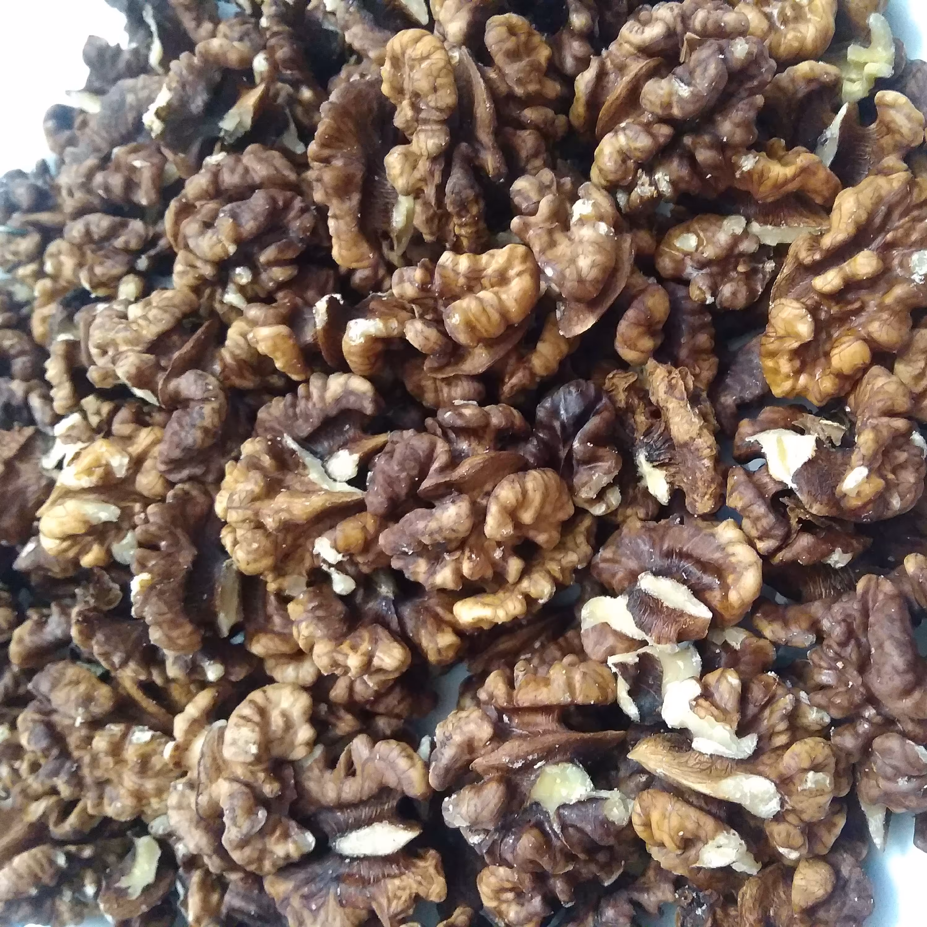 مغز گردوی فسنجونی 1402