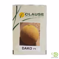 بذر خربزه گالیا داکو کلوز