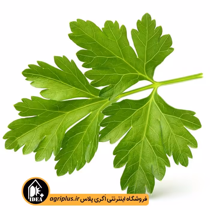 بذر جعفری بسته بندی خانگی