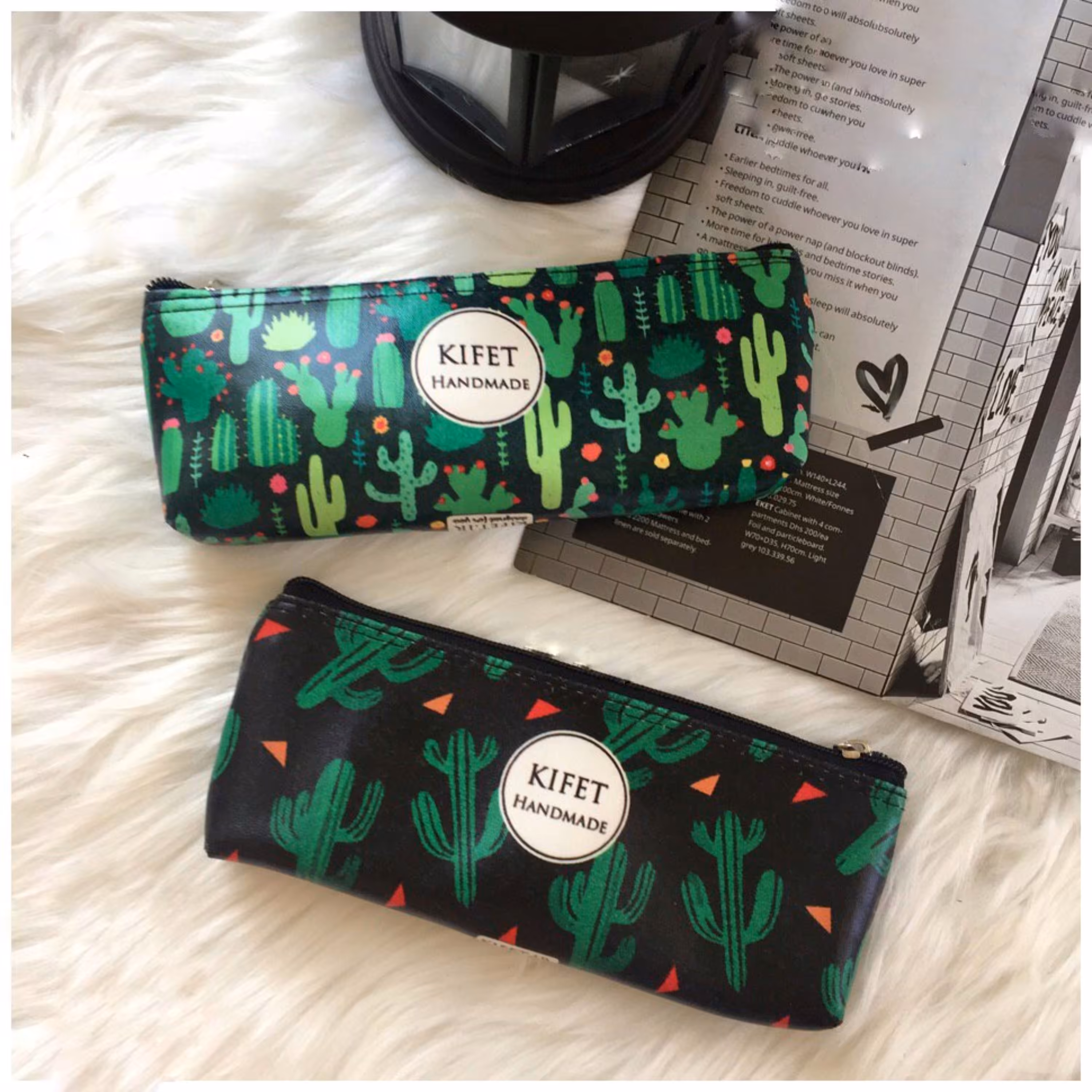 جامدادی کاکتوسی2