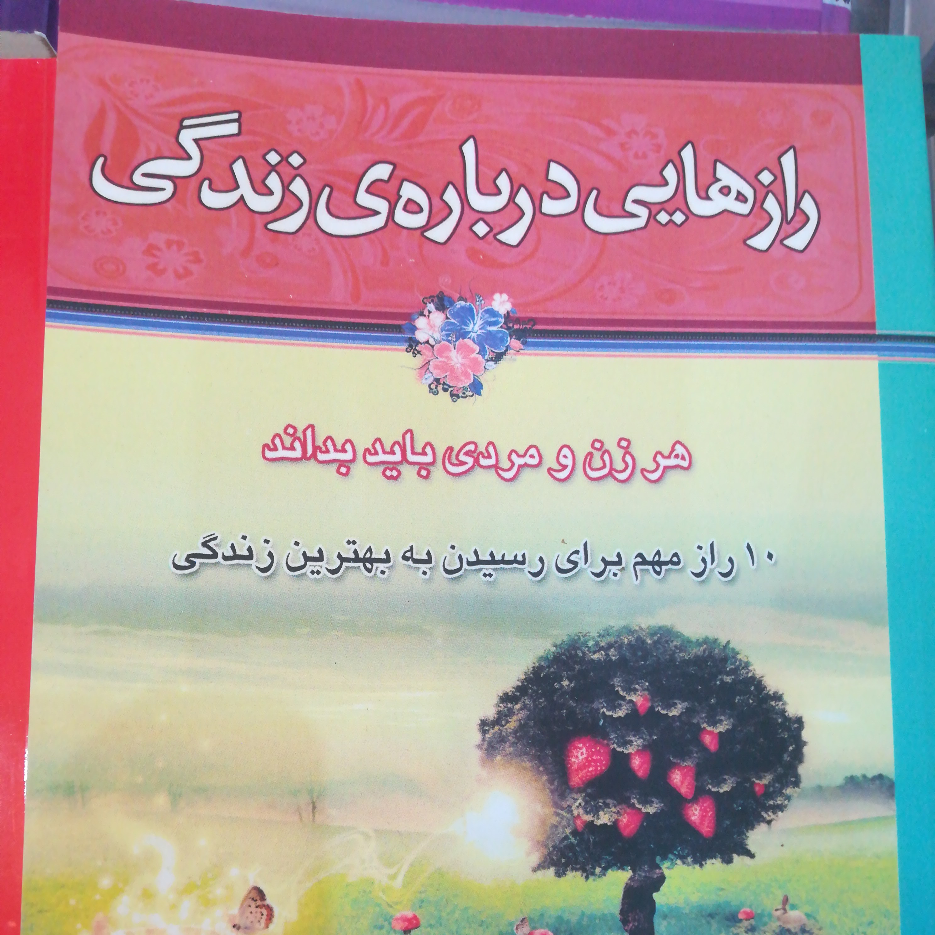 کتاب رازهایی درباره زندگی