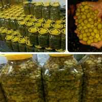 زیتون کنسروی