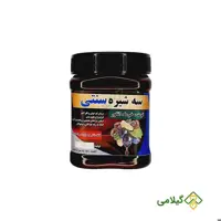 سه شیره سنتی فروشگاه گیلامی ( 500 گرمی )