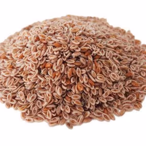 گیاه اسپرزه (اسفرزه )  100 گرم مناسب مشکلات معده ،یبوست سخت ،دل پیچه