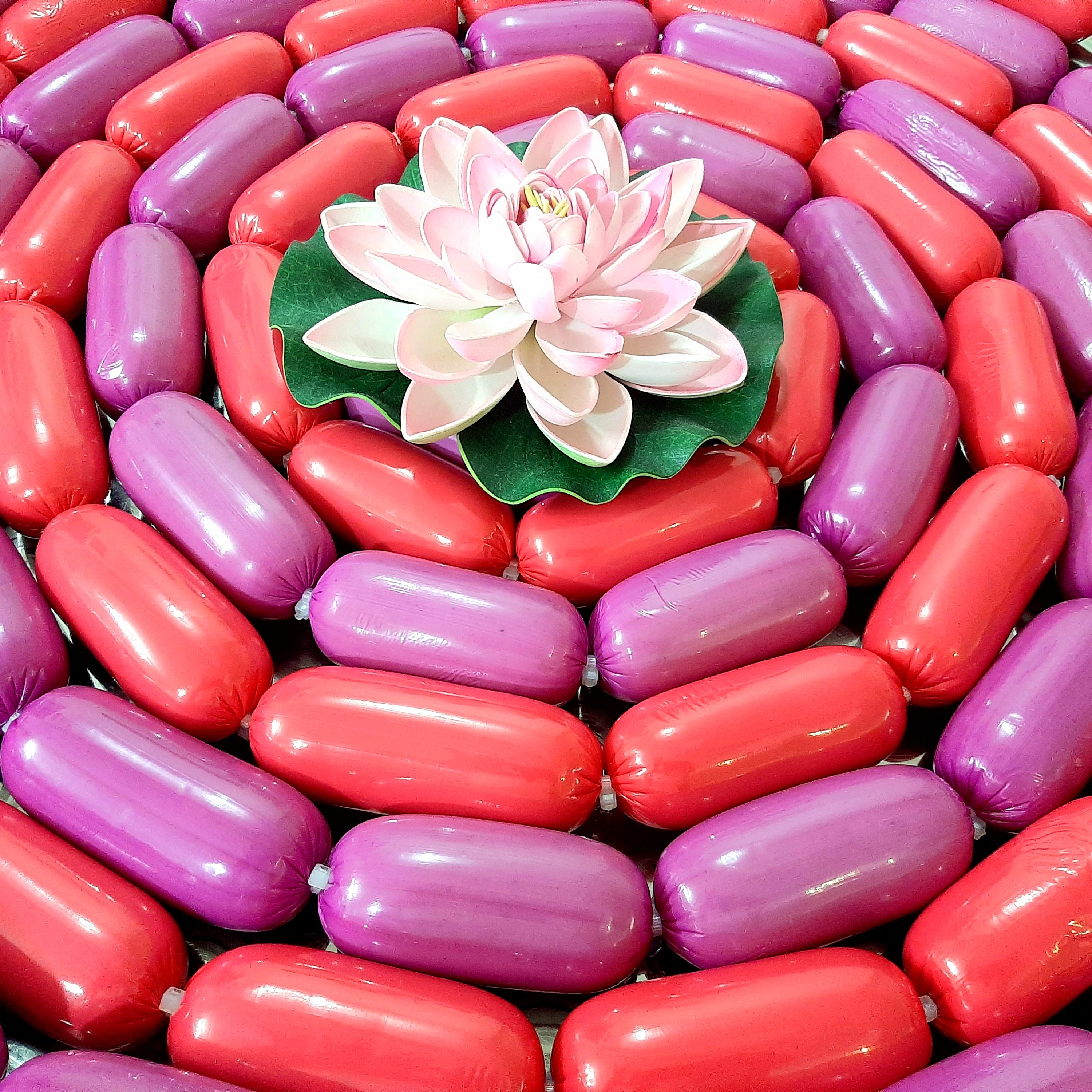 سوسیس  خانگی  مرغ