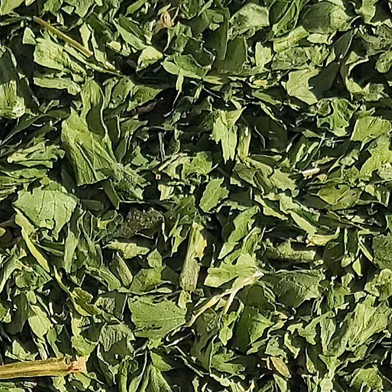 سبزی خشک جعفری (فله 1 کیلویی) محصول برند صادراتی فردوس ناب