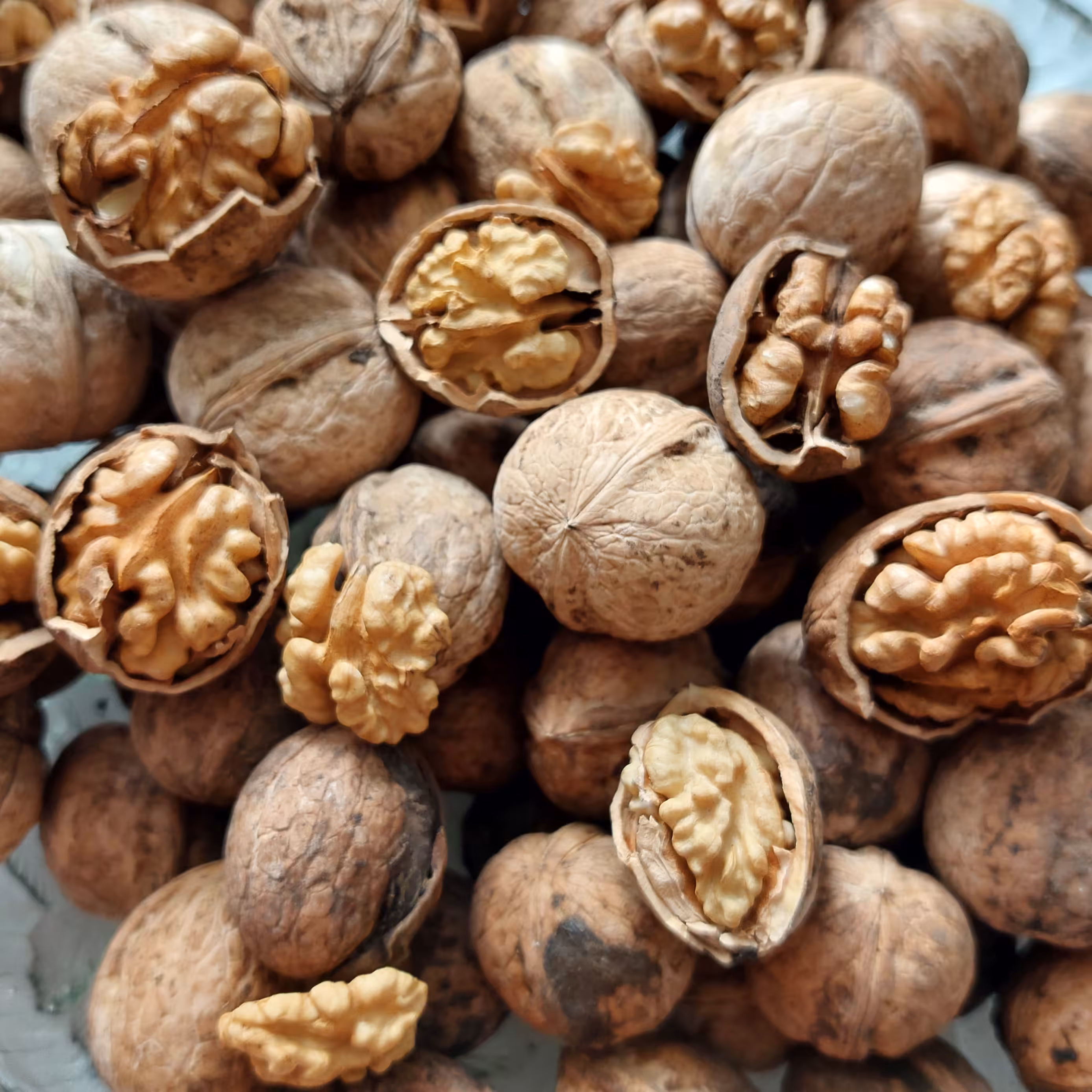 گردو اصل تویسرکان وزن 4 کیلو گرم