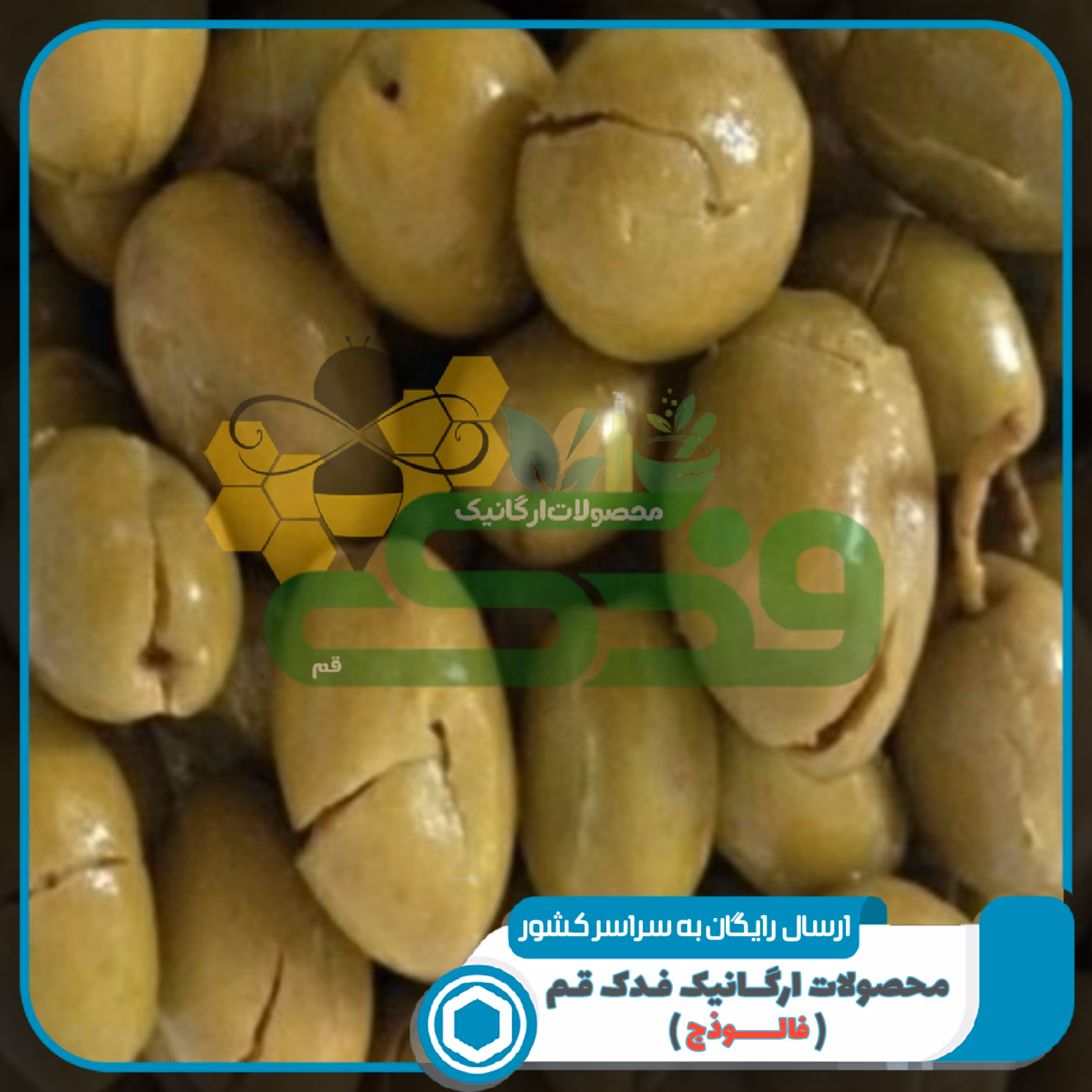 زیتون تلخ شکسته ویژه فدک