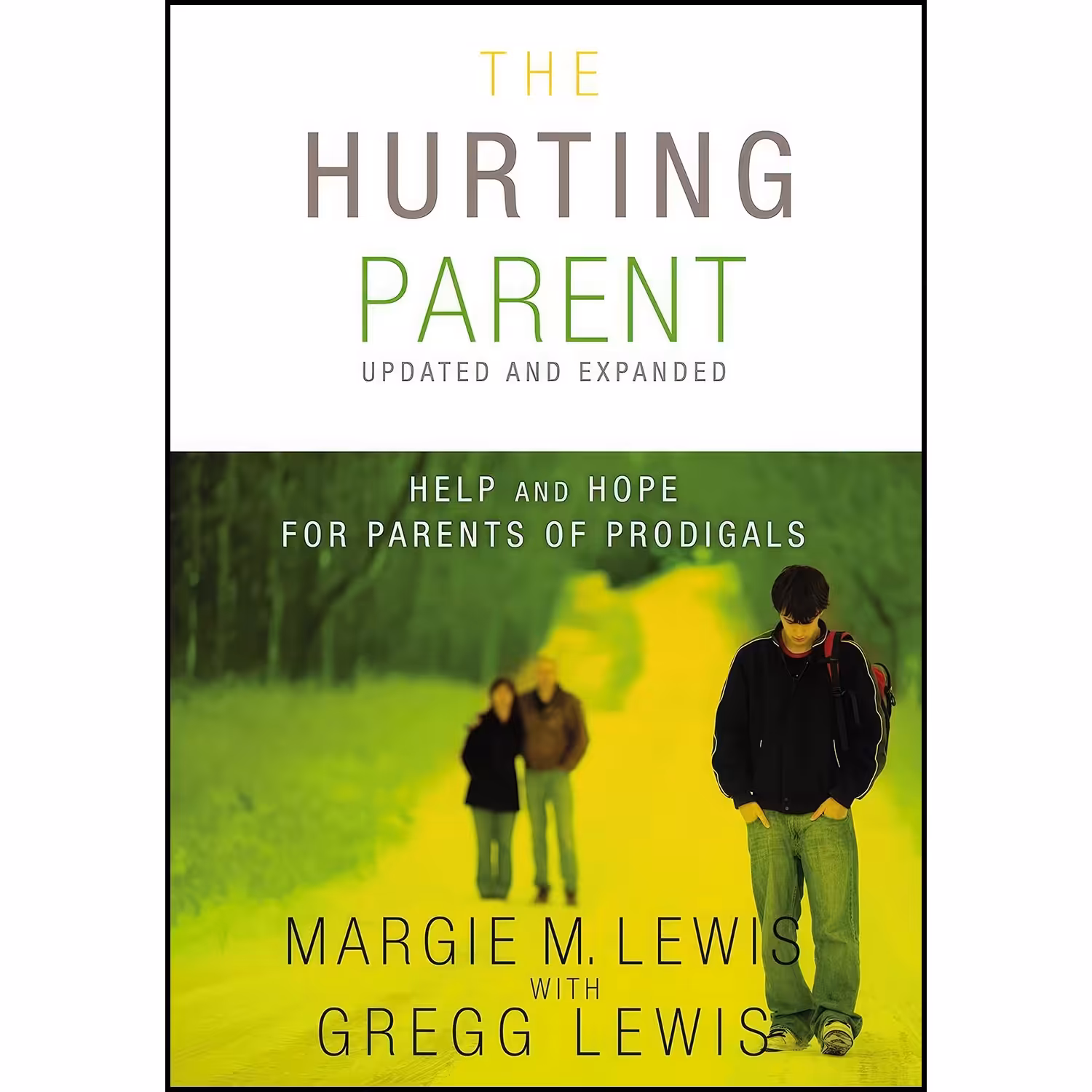 کتاب زبان اصلی The Hurting Parent اثر Margie M Lewis and Gregg Lewis