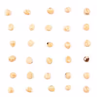 مغز فندق خام ممتاز 1000 گرم (کد26)