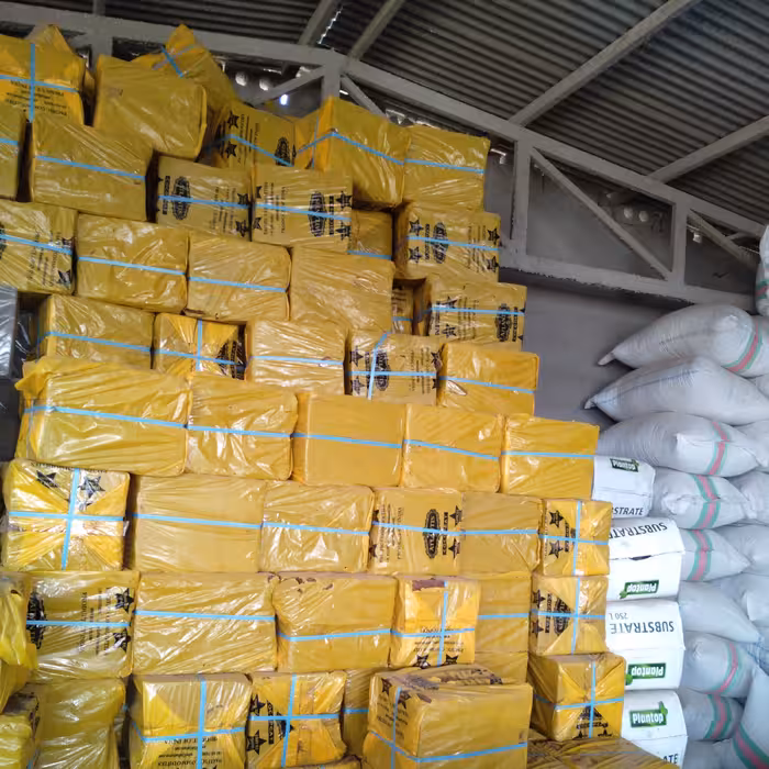 کوکوپیت سریلانکایی هندی و آلمانی با بهترین کیفیت 