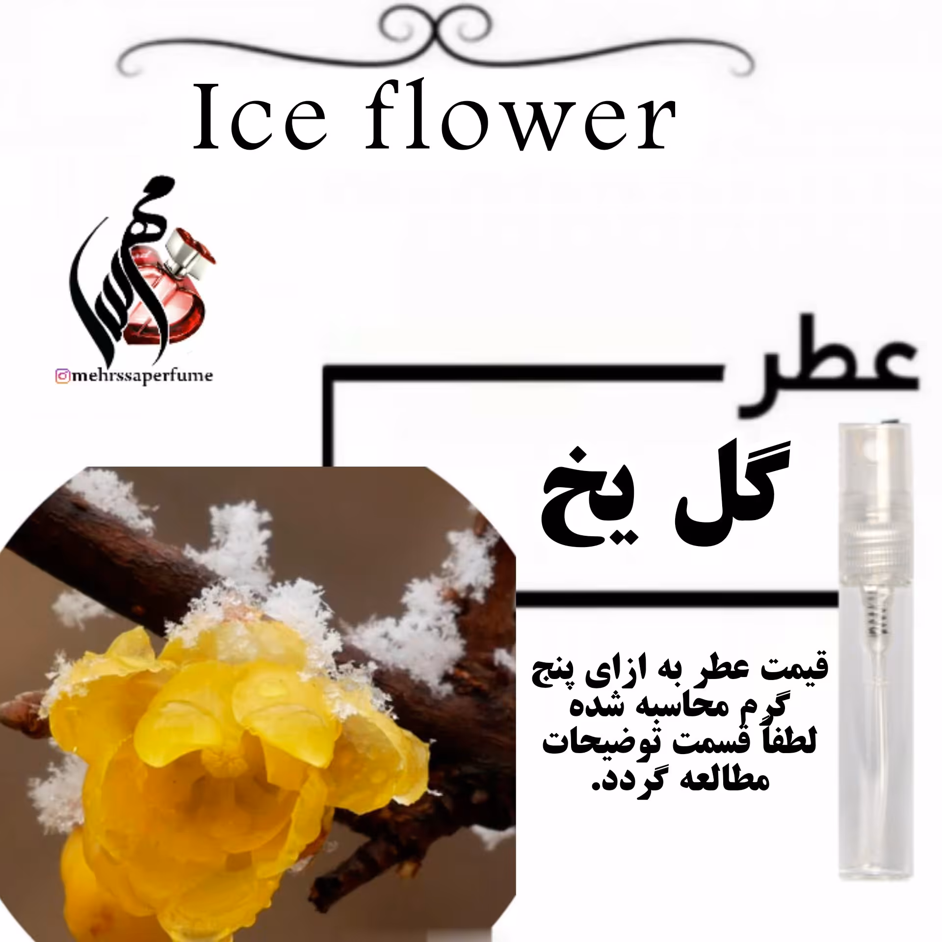 نام محصول: عطر گل یخ-Ice flower 