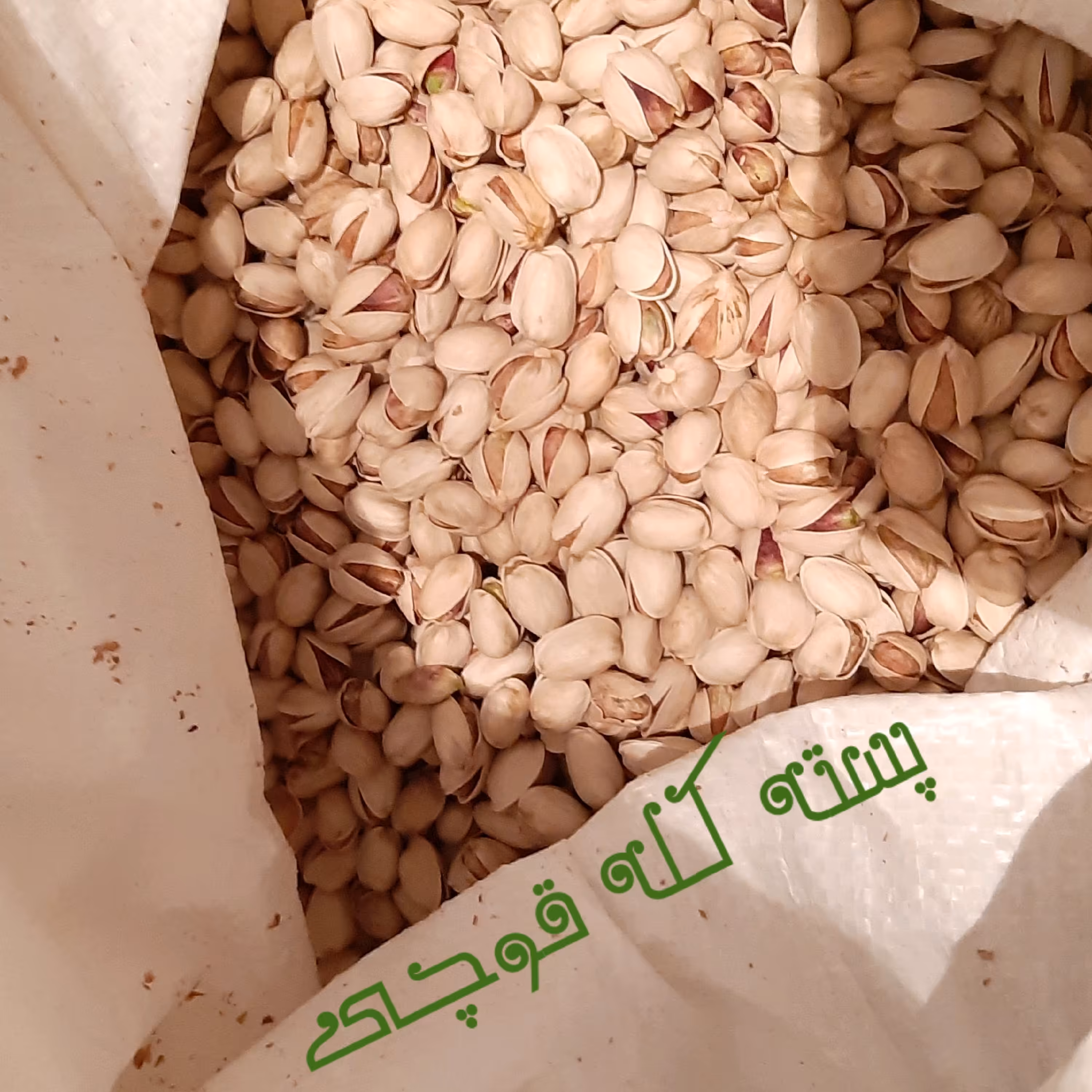 پسته کله قوچی خام کرمان یک کیلویی