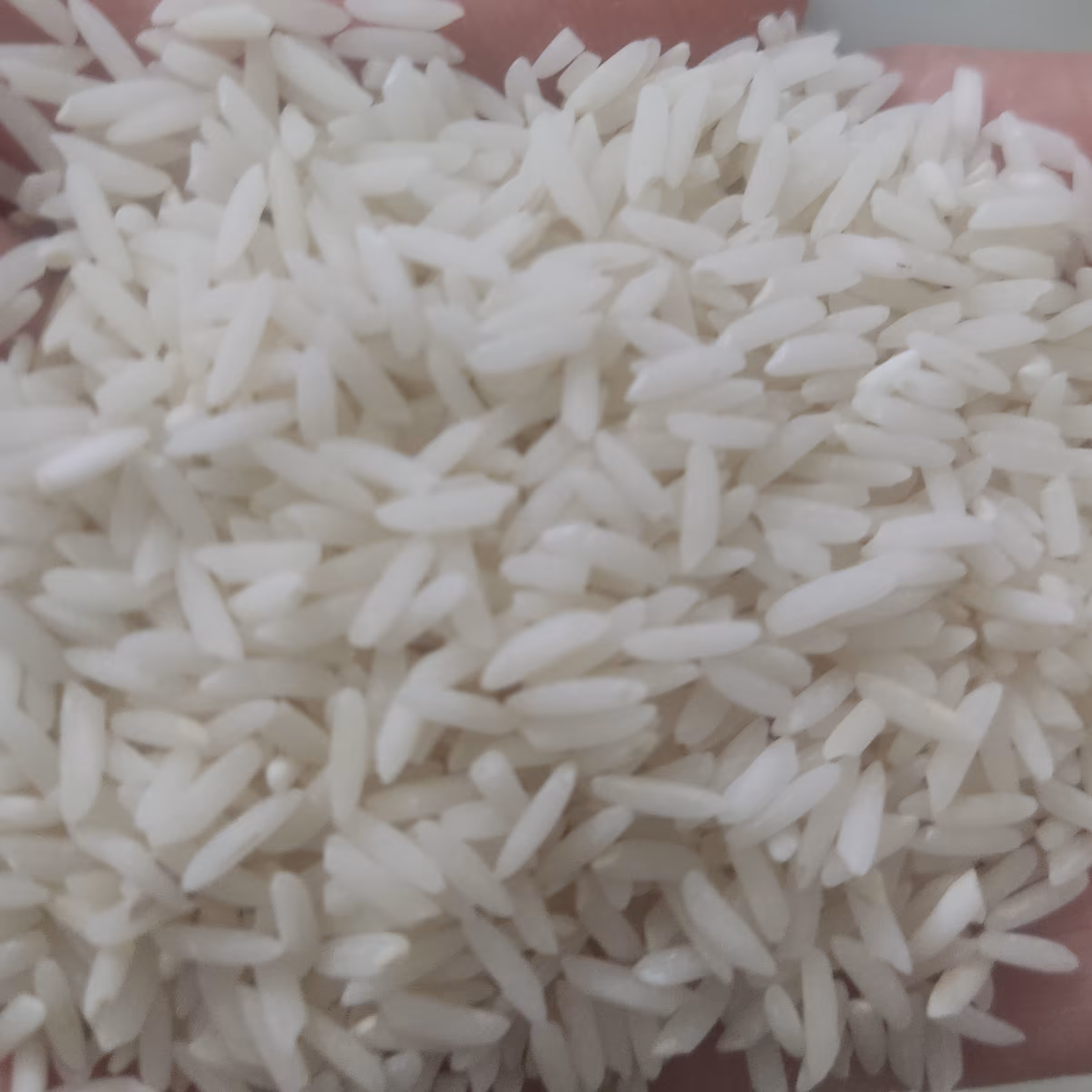 برنج دوبار کشت درجه یک