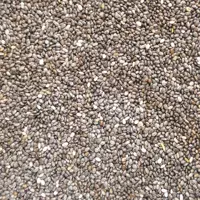 دانه چیا اعلا (1000گرم) (پس کرایه)