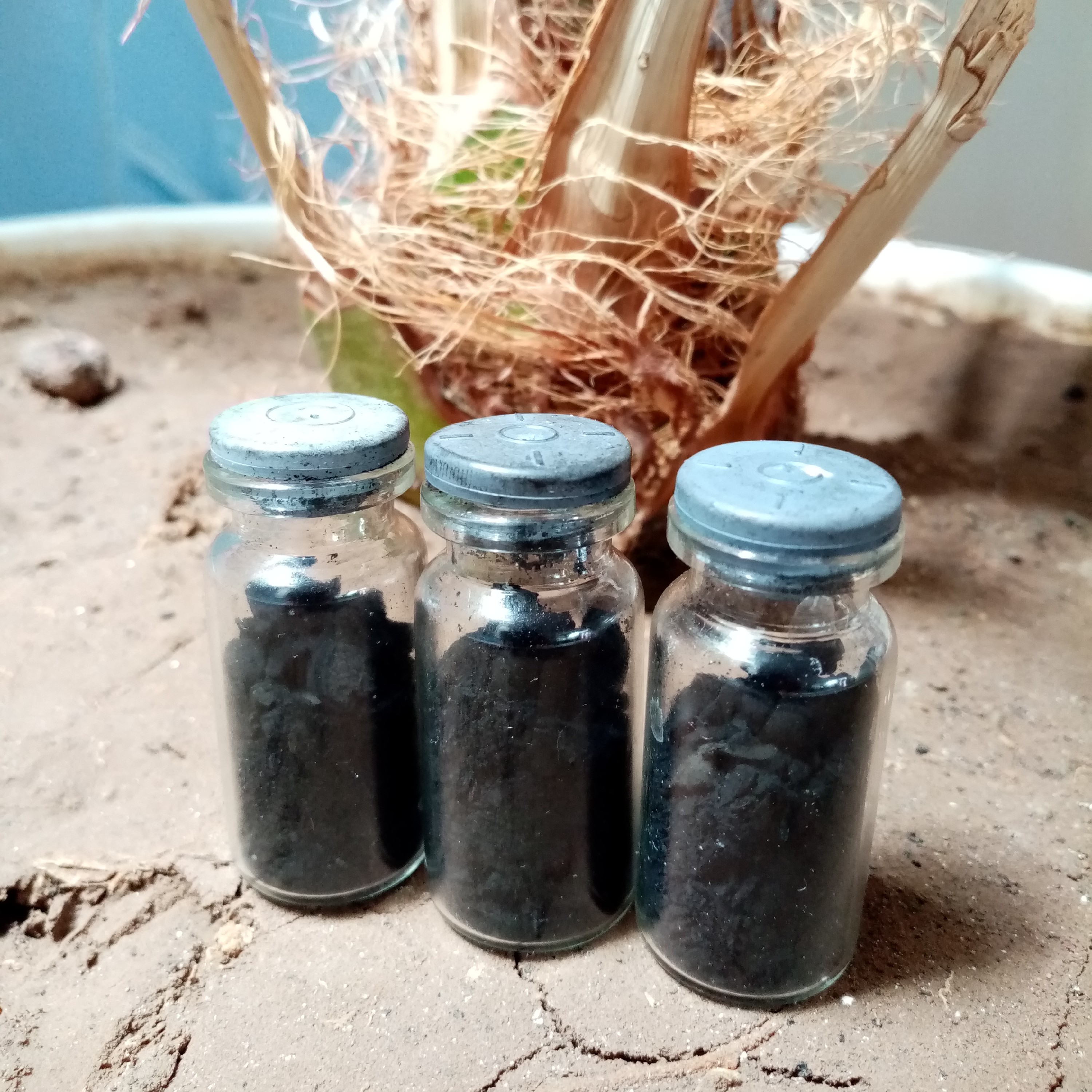 سرمه اصل خانگی(ارسال رایگان)