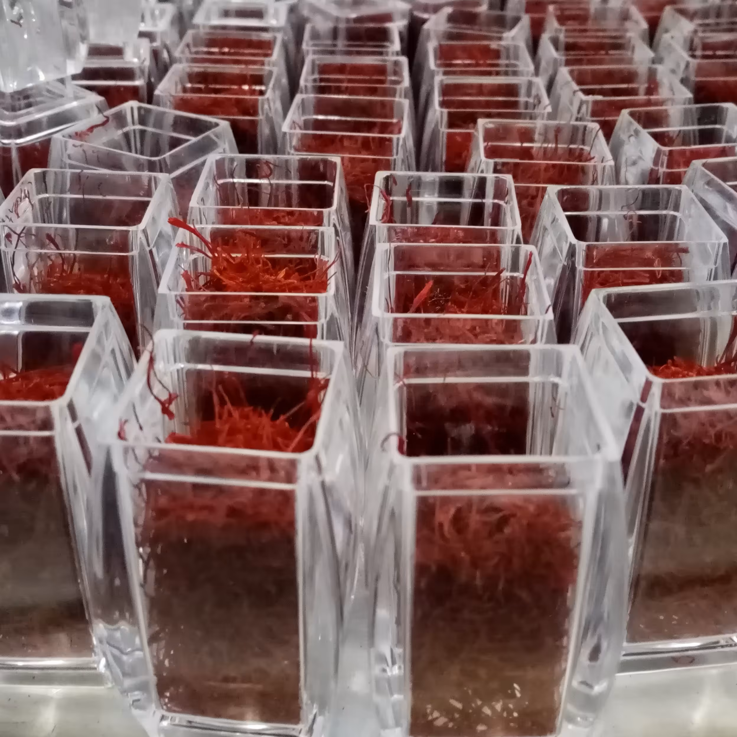 سرگل درجه یک قائنات مثقالی