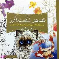 کتاب رنگ آمیزی بزرگسالان نقطه های شگفت انگیز اثر گرت مور انتشارات سبزان
