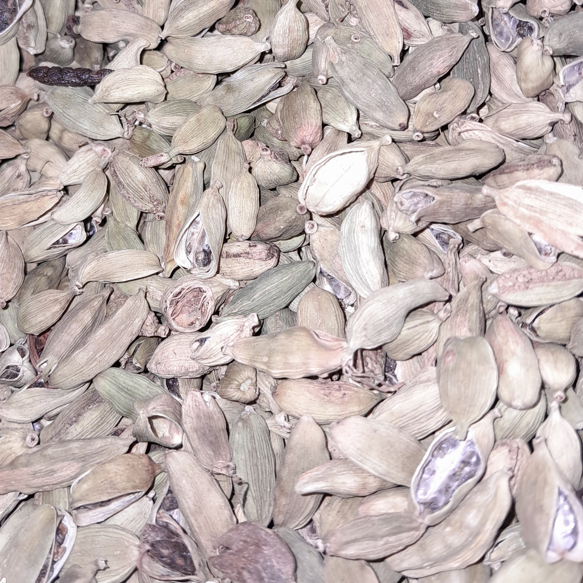 هل شکسته