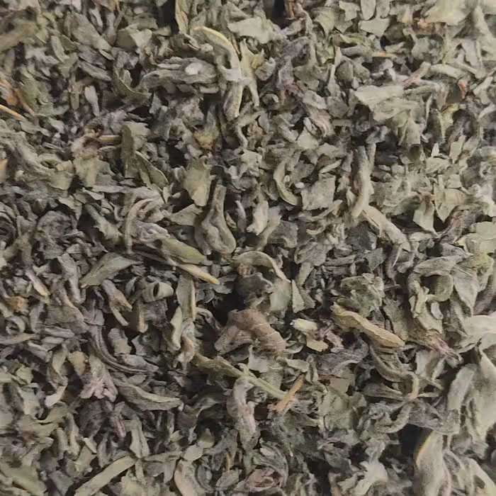 پونه خشک شده