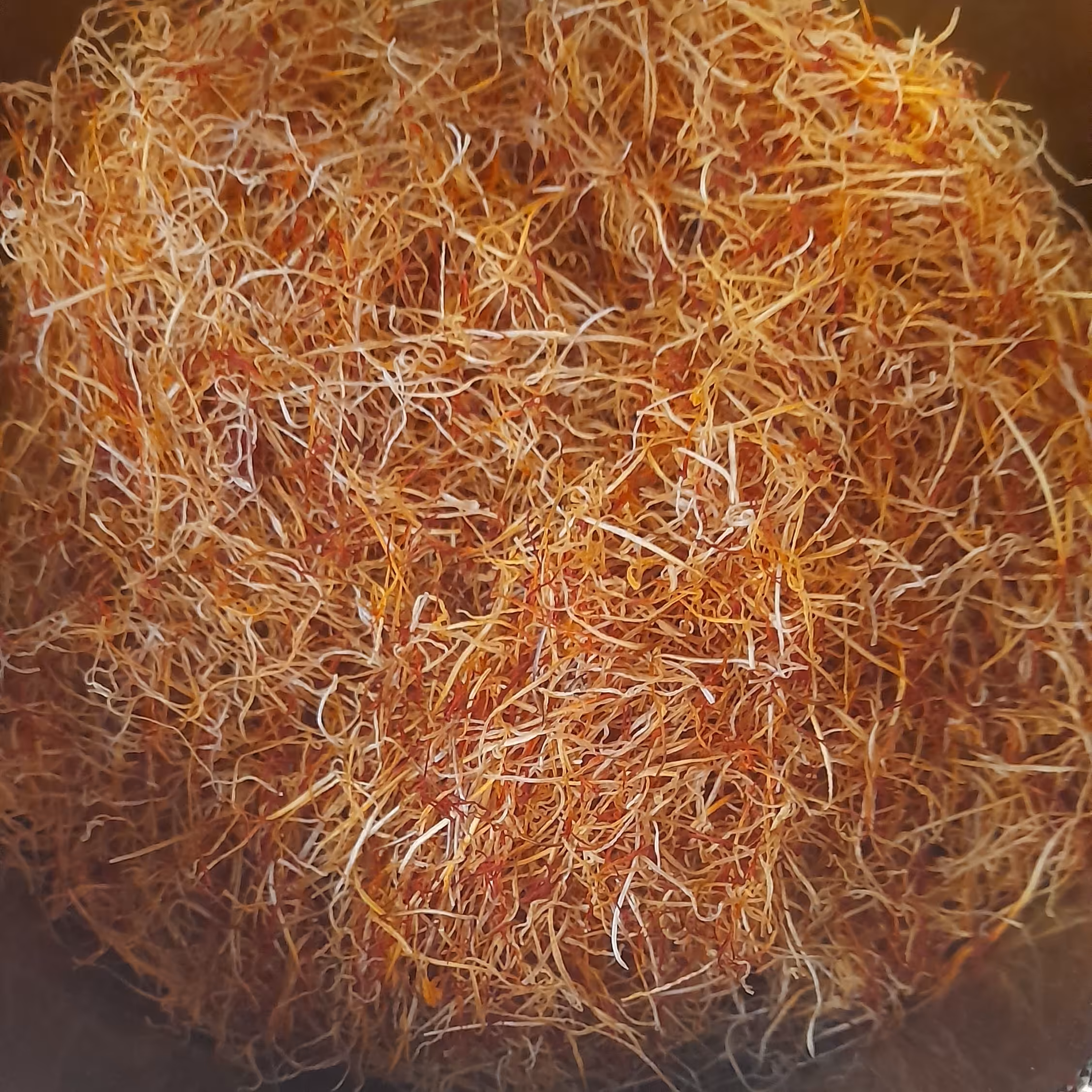 ریشه زعفران  پر قرمزی، پاک شده و  بدون هرگونه ضایعات یک مثقالی