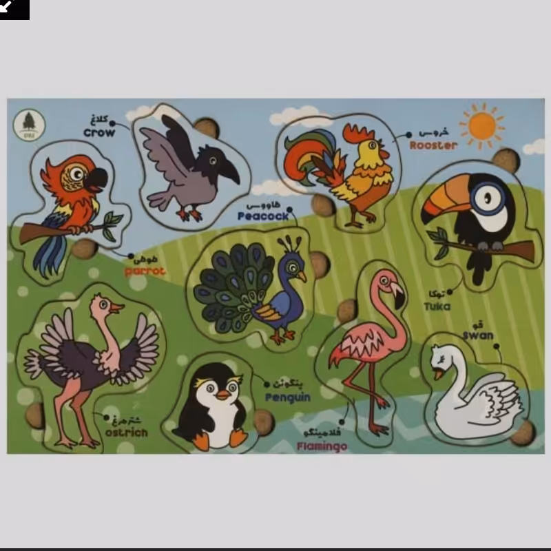 پازل چوبی پرندگان دو زبانه