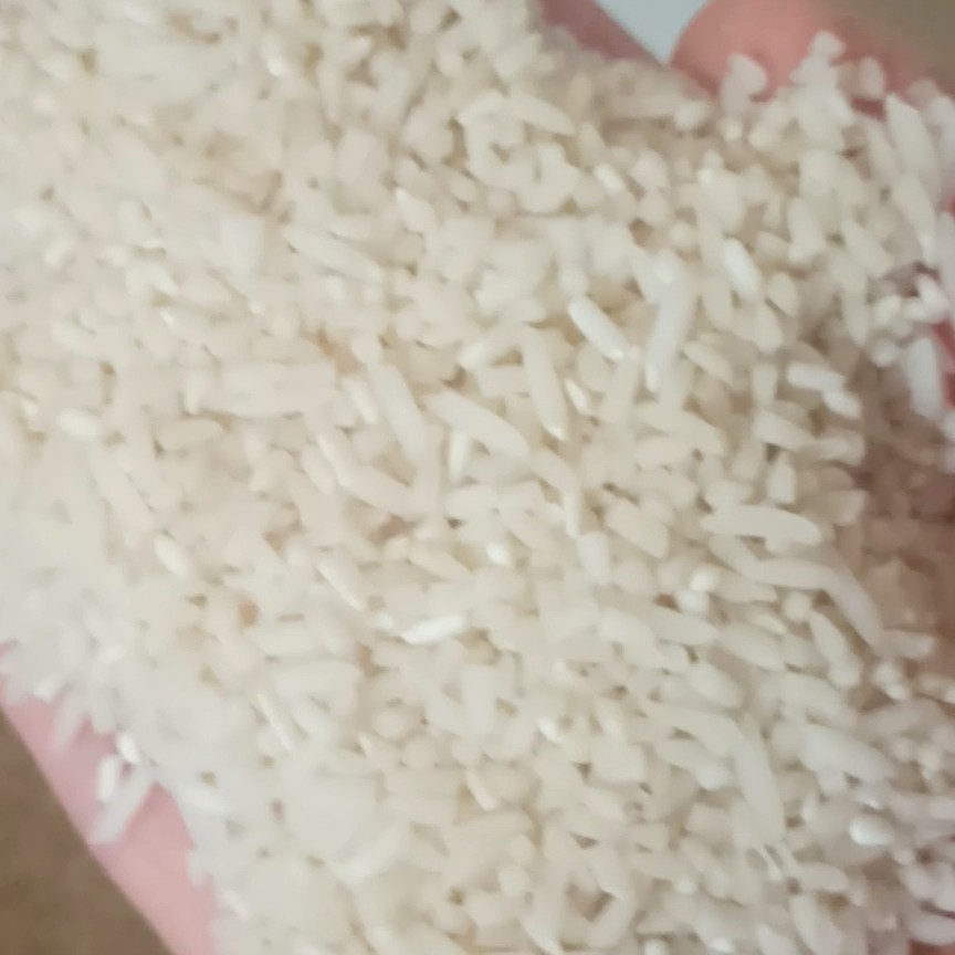 برنج لاشه هاشمی فوقالعاده خوش پخت ده کیلویی