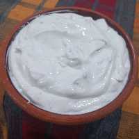 ماست چکیده کاکوتی