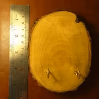 جا کلیدی چوبی طرح فاخر 