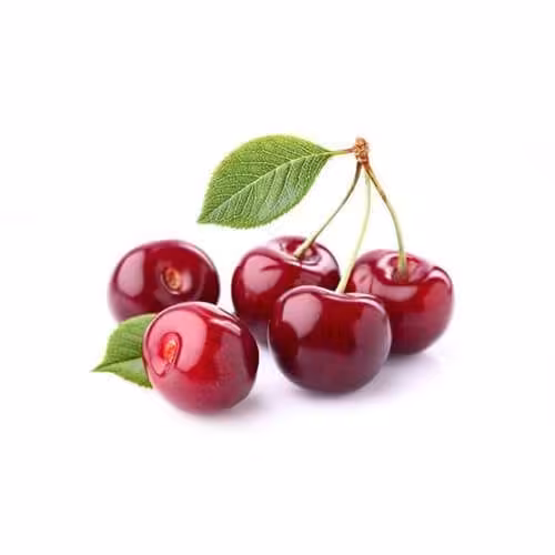 خرید نهال گیلاس پیش رس سیلویا