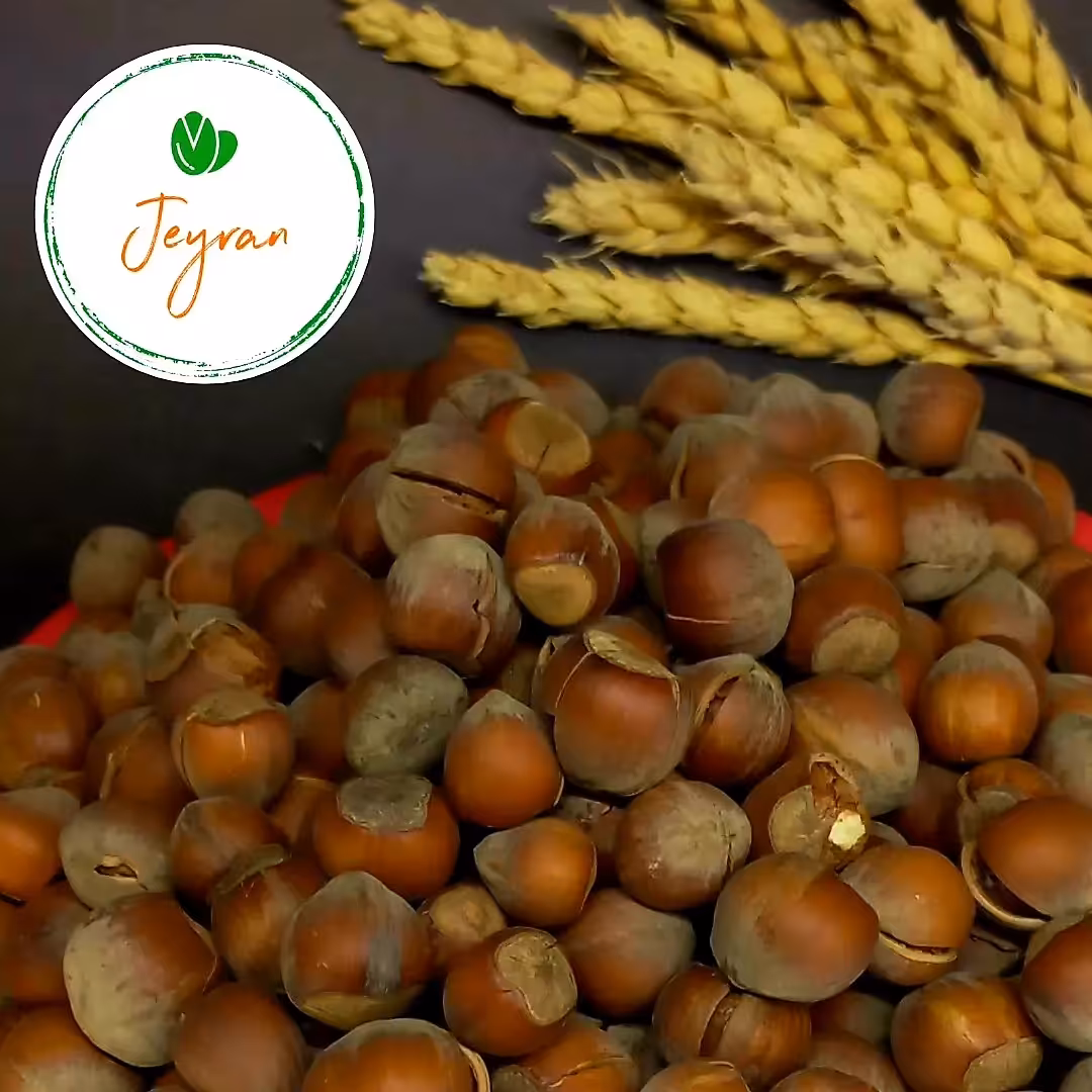 فندق ایرانی خام  (یک کیلوگرمی)