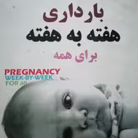بارداری هفته به هفته