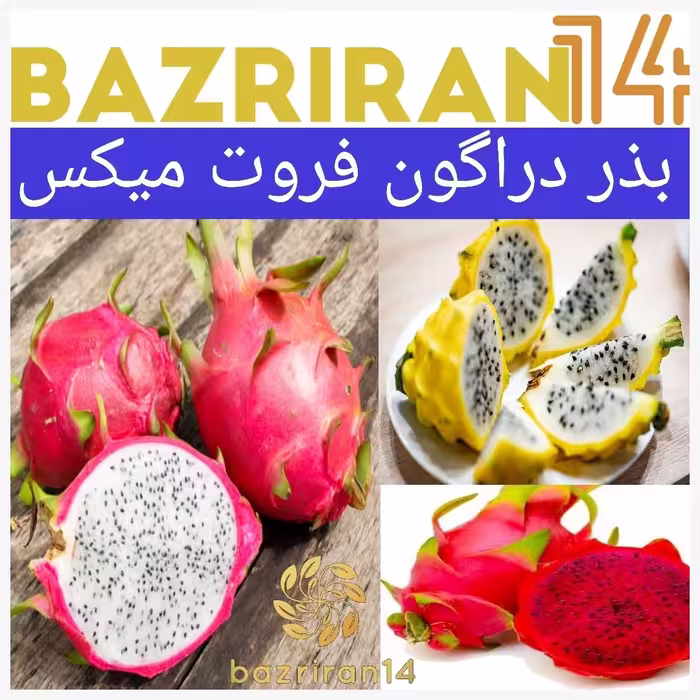 بذر داگون میکس