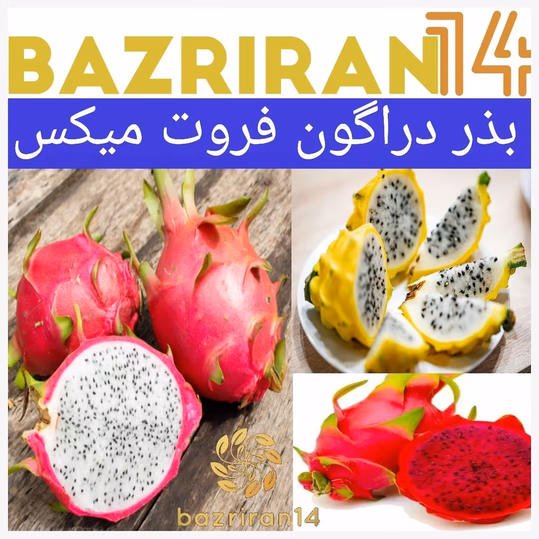 بذر داگون میکس
