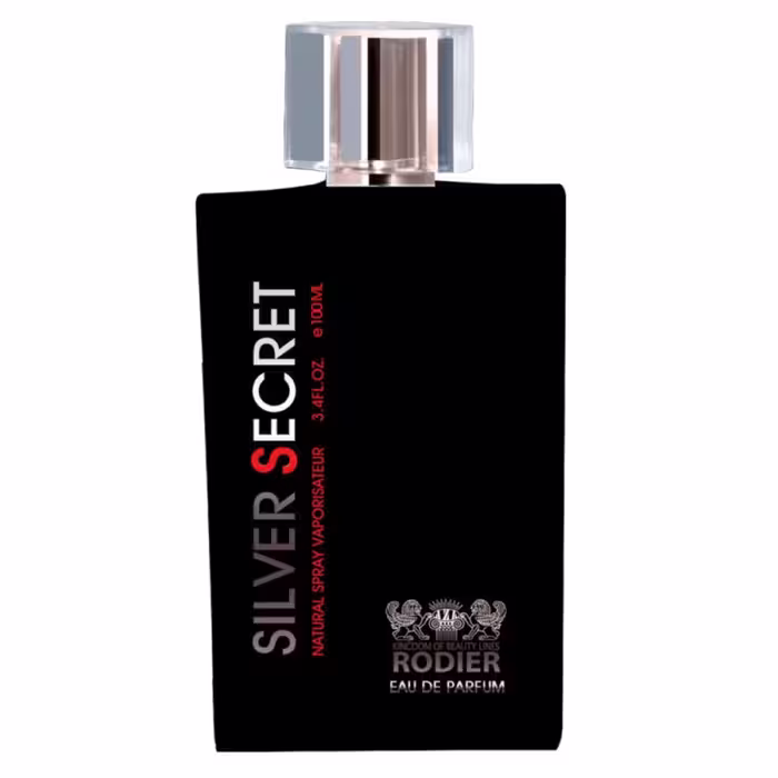 ادو پرفیوم مردانه رودیر مدل سیلور سنت Silver Secret حجم 100 میلی لیتر