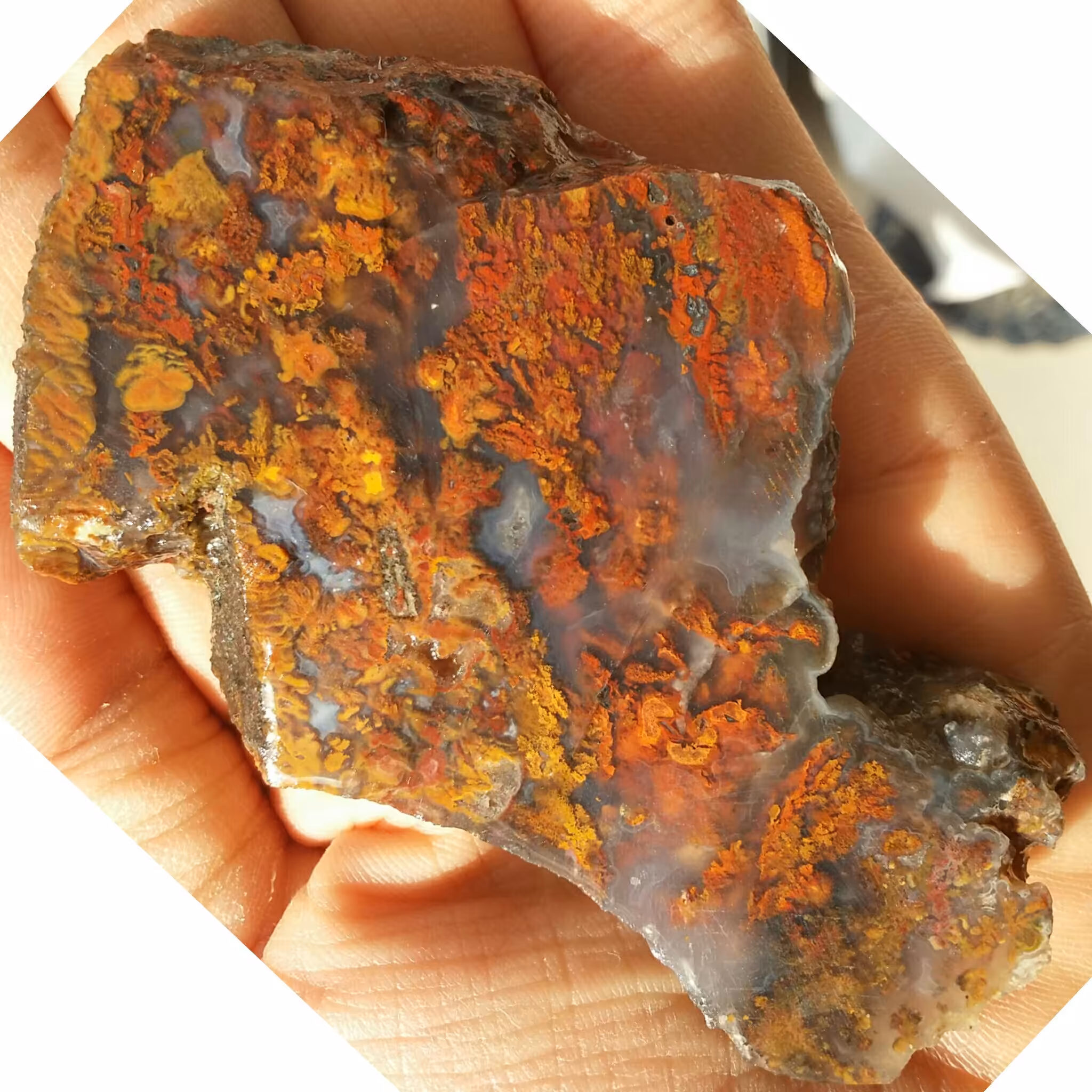 اسلایس سنگ راف شجر منظره 7رنگ کمیاب دیدنی کاملا طبیعی شاهکار خلقت بی نظییر خاااص