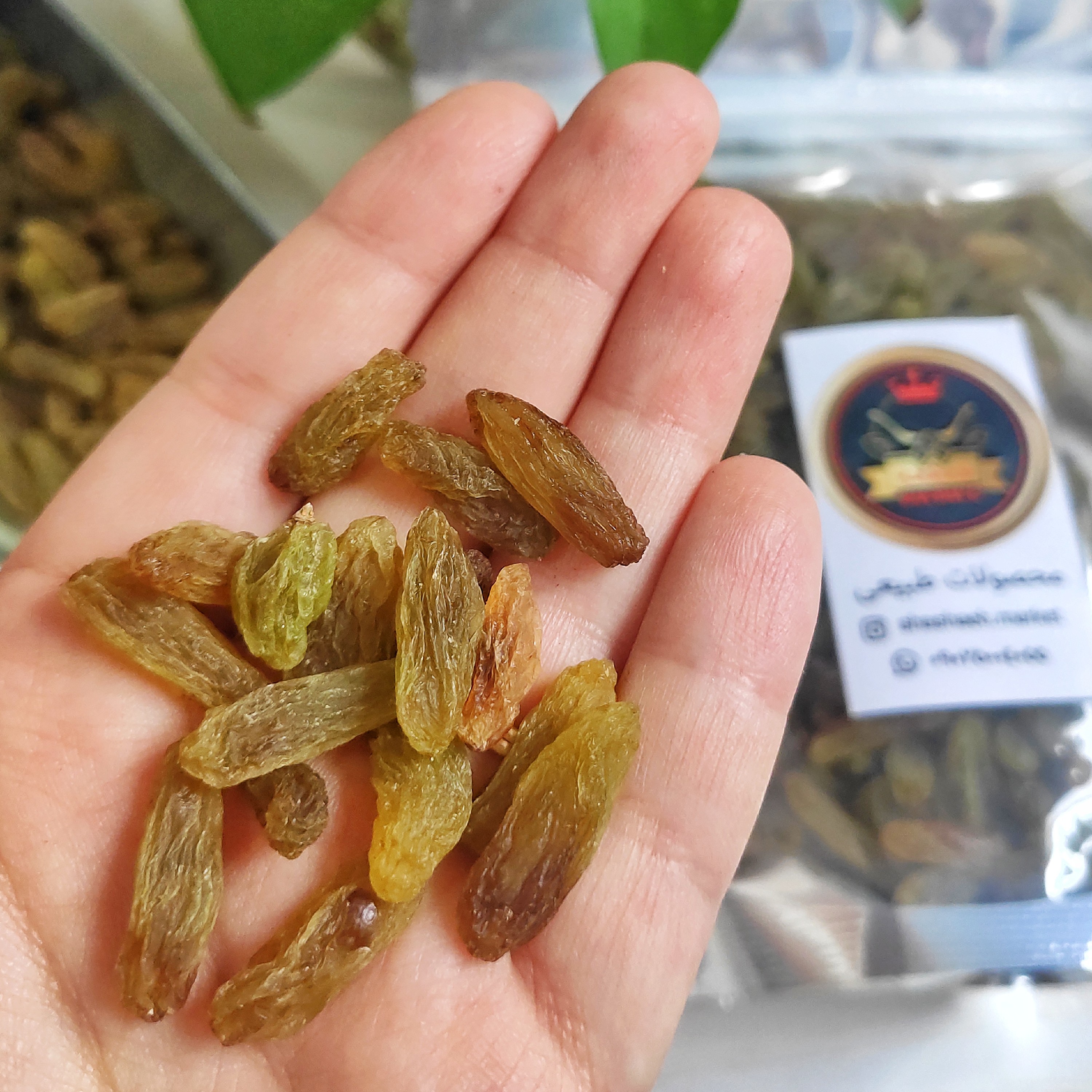کشمش سبز  قلمی درشت نیم کیلویی کاشمر (امساله)
