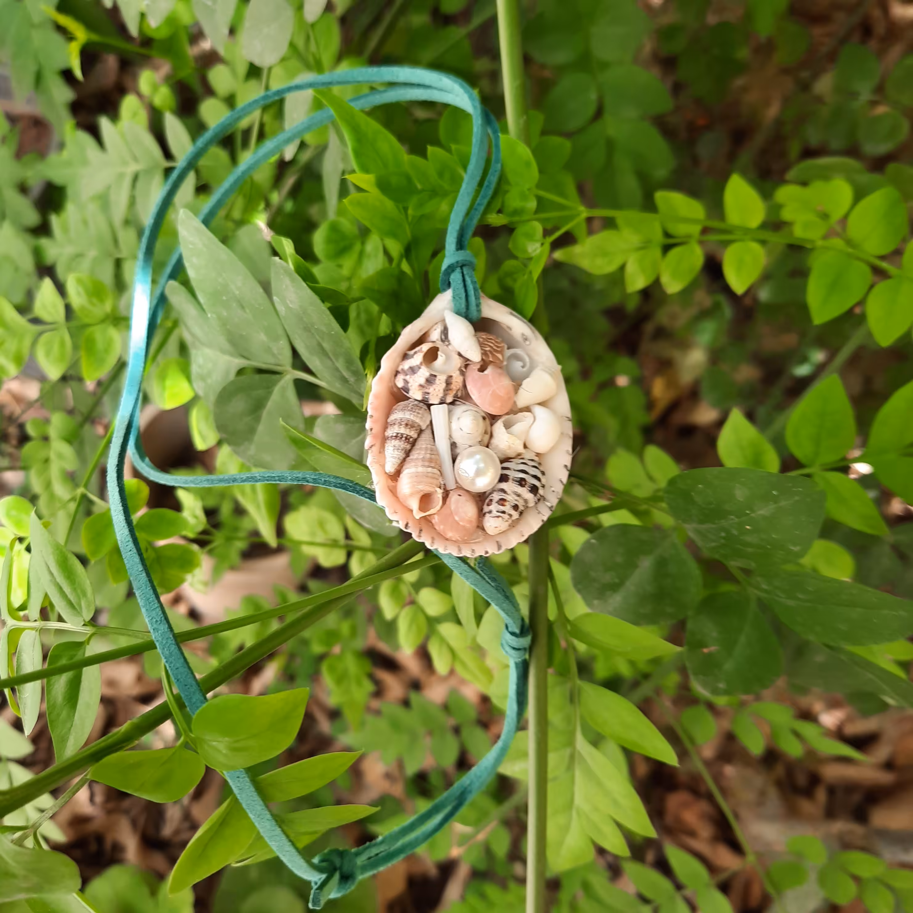 گردنبند صدف طبیعی با بند جیر